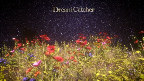 Dream Catcher on Behance