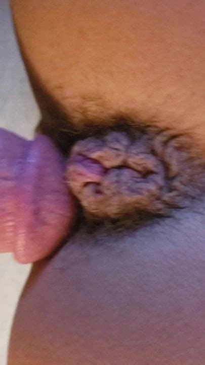 Hot Pussy American Porn Xhamster