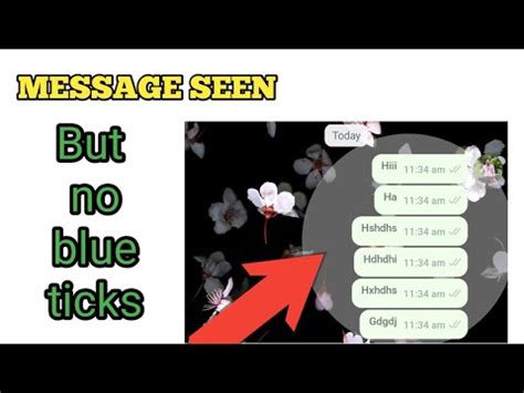 How To Hide Blue Tick In WhatsApp YouTube