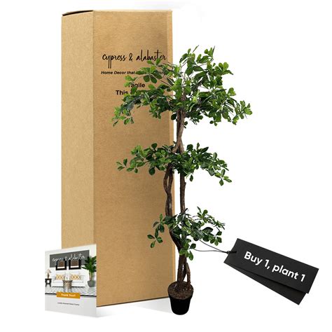 Cypress And Alabaster 6 Handmade Artificial Black Olive Tree Faux