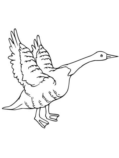 Flying Geese Drawing at GetDrawings | Free download