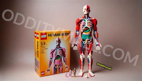 This Human Body Lego Set is the Perfect Blend of Educational and ...