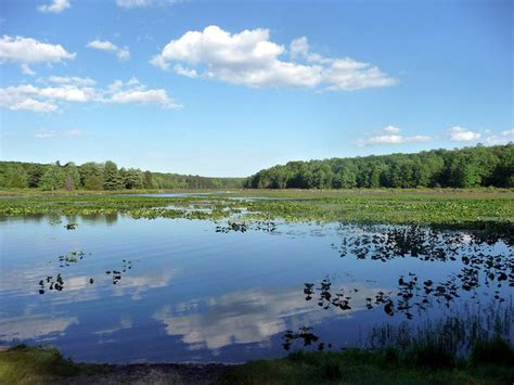 Pennsylvania S Most Beautiful Lakes Pennlive