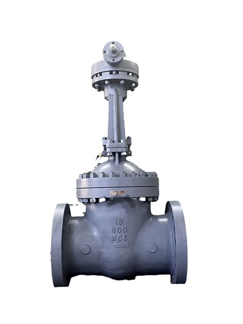 Cast Steel Full Diameter Double Flange Os Y Wedge Gate Valve Api Gate