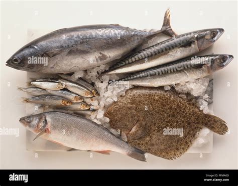 Hamsi fish hi-res stock photography and images - Alamy