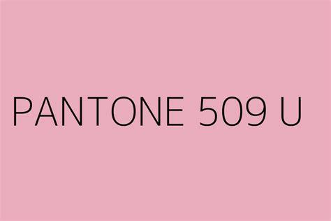 PANTONE 509 U Color HEX code