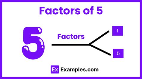 Factors Of 5 Prime Factors Of 5 How To Calculate Tips