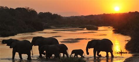 Mpumalanga safaris, tours and holiday packages | Discover Africa Safaris