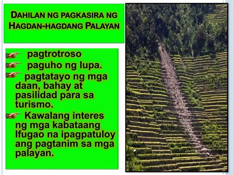 Hagdang Hagdang Palayan Ppt