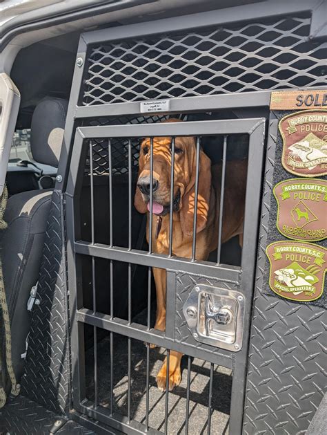 Horry county SC Lenco, bloodhound unit, and watercraft. (Why do police