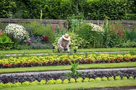 200,000+ Free Gardener & Gardening Images - Pixabay 