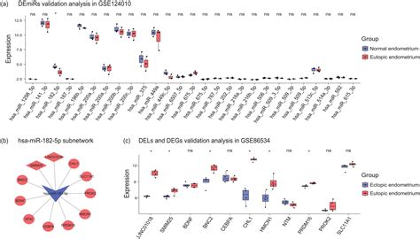 LINC01018 And SMIM25 Sponged MiR 182 5p In Endometriosis Revealed By