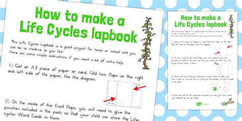 Life Cycles Lapbook Instruction Sheet L Enseignant A Fait