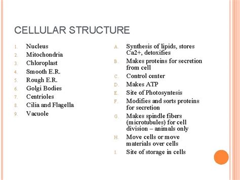 Cellular Structure And Transport Review Cellular Structure 1