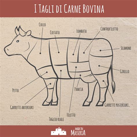 Tipologie E Tagli Di Carne Bovina Made In Masseria