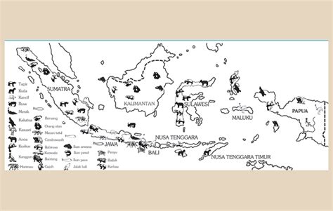 Peta Persebaran Flora Di Indonesia Beserta Penjelasannya