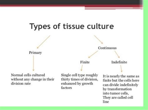 Introduction to cell culture techniques