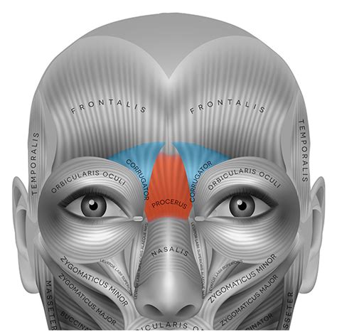 Botox for Frown Lines | Lumier Medical