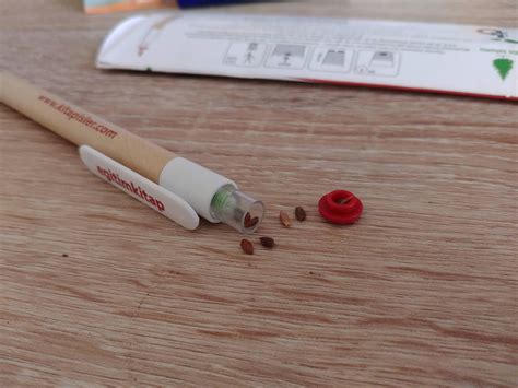 This pencil comes with tree seeds in it. : r/mildlyinteresting