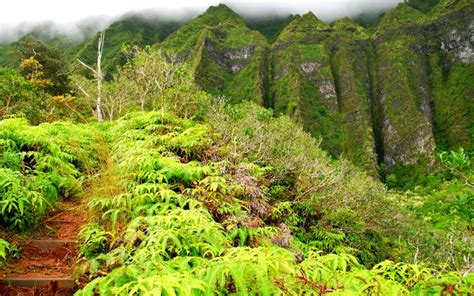 10 Awesome Hiking trails On Oahu, Hawaii – Best Hiking Trails On Oahu ...