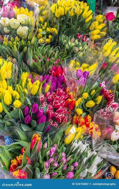 Tulips Fresh Flowers Bunches Of Tulips For Sale Stock Photo Image Of