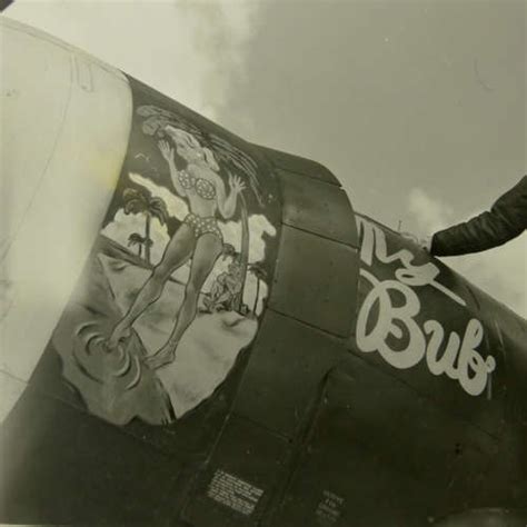 Usaaf Th Aaf Th Fighter Group Nose Art Photograph