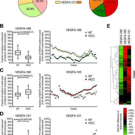 Alterations Of Expression Levels Of VEGFA Isoforms In HCC Tissue