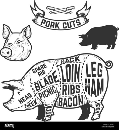 Pork Cuts Butcher Diagram Design Element For Poster Menu Vector