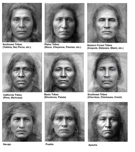 Average Faces Of Native American Tribes Earthly Mission Native