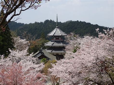 10 jours au Japon Itinéraire conseillé Nihonkara