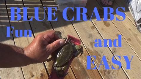 How To Catch Blue Crab Easy Bank Fishing