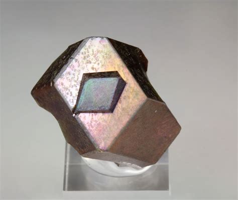 Quebul Fine Minerals Iridescent Rainbow Garnet Var Andradite