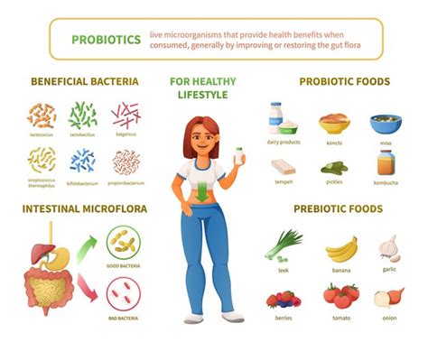 Probiotic Bacteria Benefits