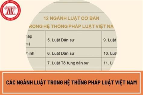 Hệ Thống Pháp Luật Việt Nam Có Bao Nhiều Ngành Luật Các Ngành Luật