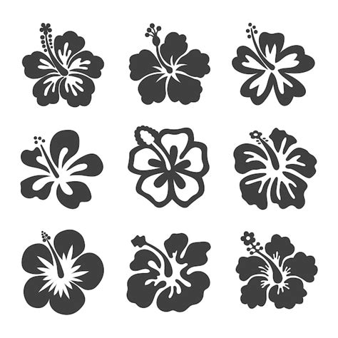 Premium Vector Set Of Tropical Hibiscus Flower Silhouette Illustrations