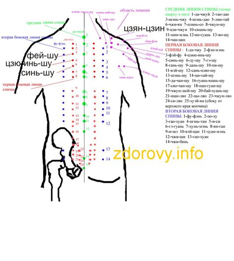 Акупунктурные точки на теле человека атлас фото и описание