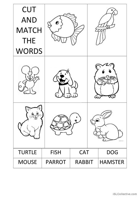 Cut And Match The Pets Words English Esl Worksheets Pdf And Doc