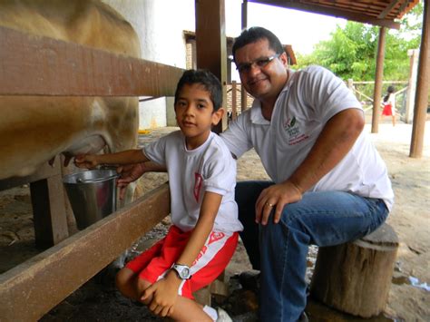 Projeto Cheirinho De Mato Oficinas No Cheirinho De Mato O Que As