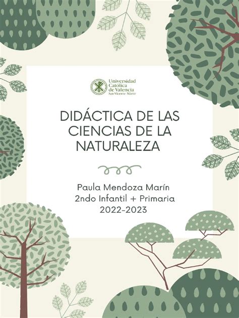 DIDÁCTICA APUNTES | PDF | Aprendizaje | Observación 