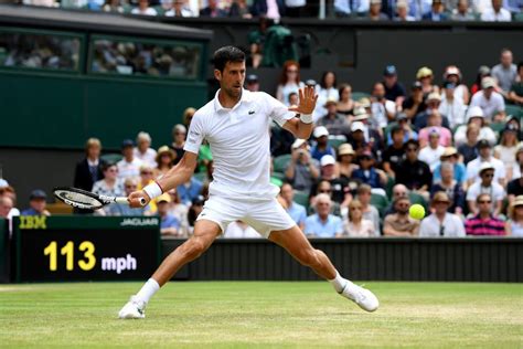 Wimbledon 2019 Djokovic In Finale Un Coriaceo Bautista Cede In