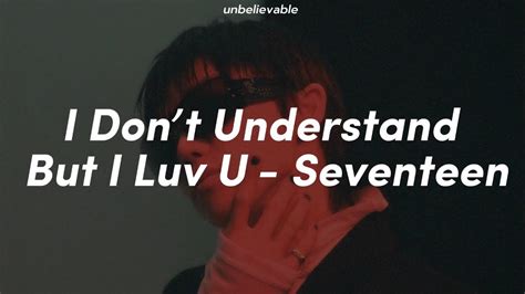 Seventeen I Dont Understand But I Luv U Tradu O Legendado Youtube