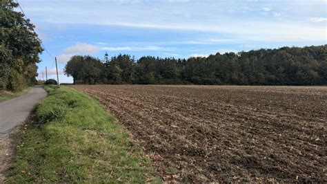 Arable Field Near Mount Farm Sandy Gerrard Geograph Britain And