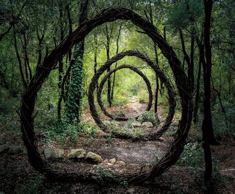 Nature Inspired Sculptures In Deep Forest Photo One Big Photo