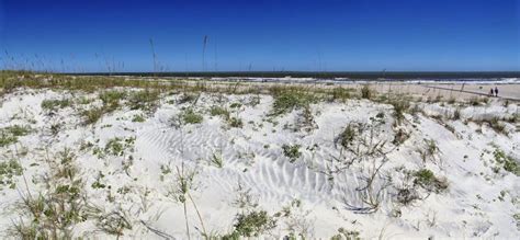 Anastasia State Park At St Augustine Florida Usa Stock Photo Image