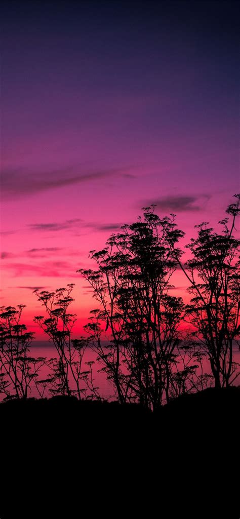 Hot Pink Sunset Wallpaper