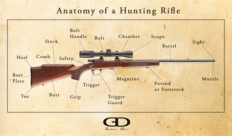 A Gentleman’s First Rifle The Gentleman S Digest