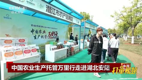 中国农业生产托管万里行活动走进湖北安陆腾讯视频