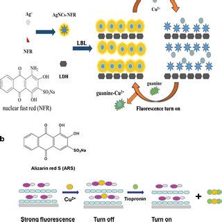 Illustration Of Colorimetric Sensors Involving The Enzyme Like Activity