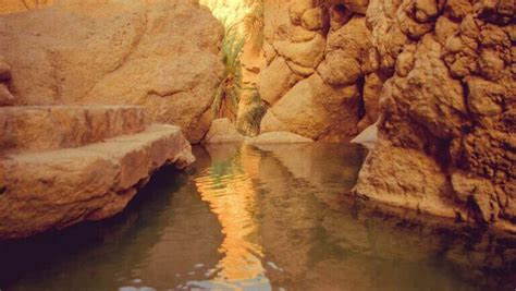 Les Myst Res De Chebika La Derni Re Oasis Naturelle En Tunisie