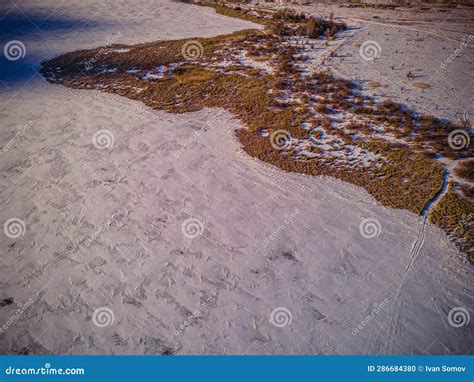 Aerial Photo Of Wildlife In Spring Stock Photo Image Of Cove Kingdom